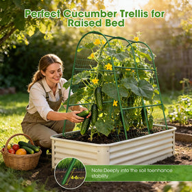 MQHUAYU metal arch provides sturdy vegetable support for upright growth.