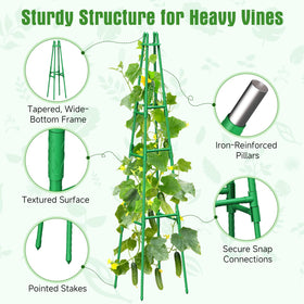 MQHUAYU modular adjustable height sections adapt to plant growth.