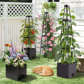 Gift-ready packaging perfect for gardening enthusiasts and family