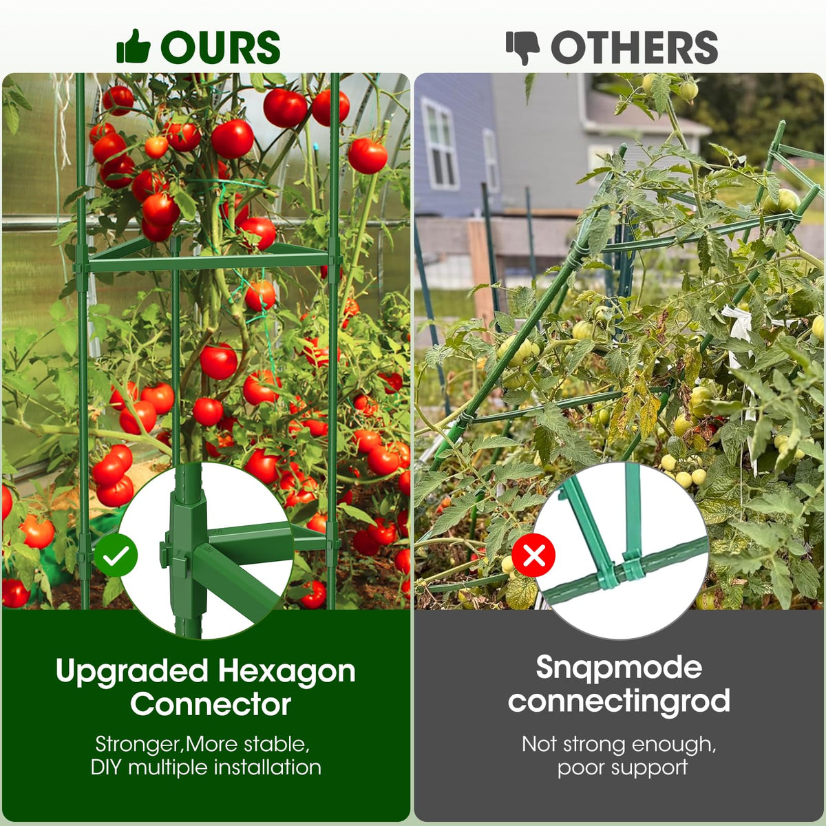 MQHUAYU green-coated tomato cage resists fading in outdoor conditions