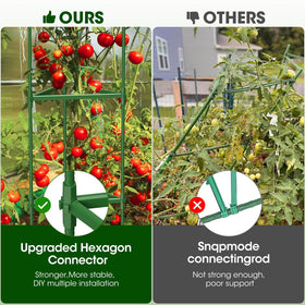 MQHUAYU green-coated tomato cage resists fading in outdoor conditions