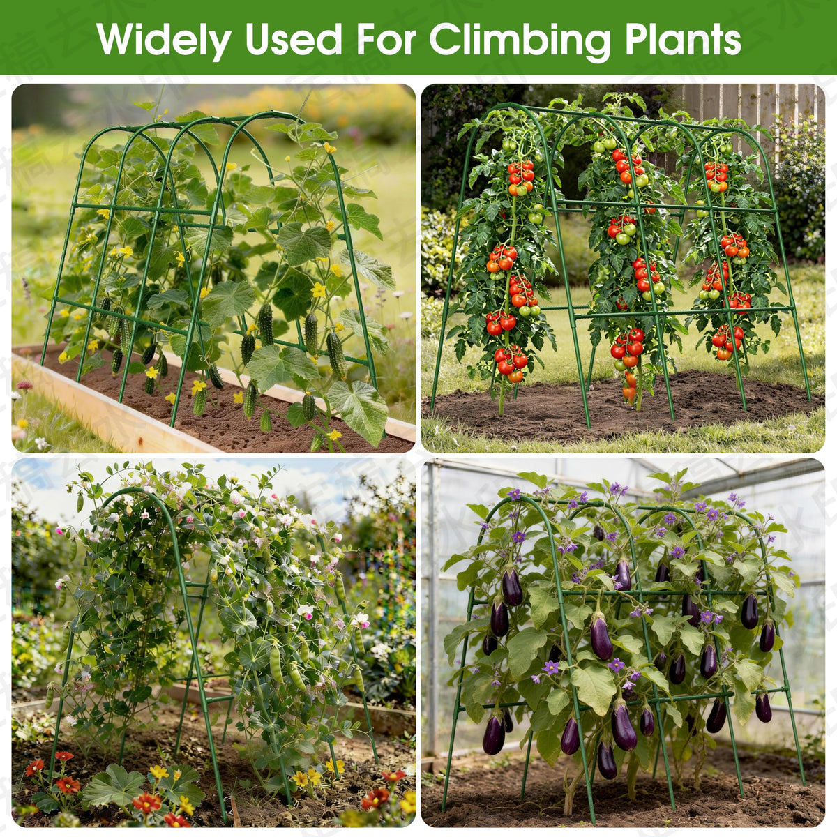 Dimensions fit neatly in raised beds for space-saving garden layouts