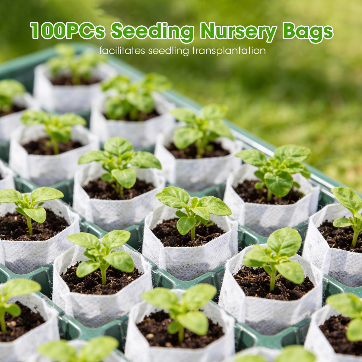 MQHUAYU seed starter tray dual power options: AC or USB.