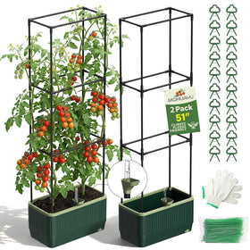 MQHUAYU self-watering planter with 51-inch trellis for easy water management.