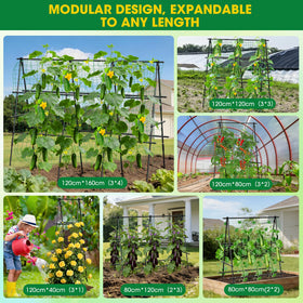 MQHUAYU sturdy legs inserted into soil for wind-resistant stability