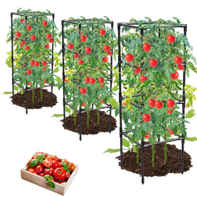 MQHUAYU square frame tomato cage 3 pack provides sturdy garden support