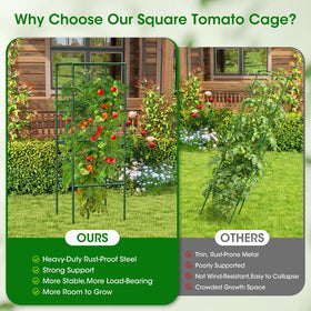 MQHUAYU 6-pack tomato cages suit home gardens, farms, and greenhouse settings.