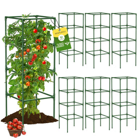 MQHUAYU tomato cage 6-pack square frame supports vine growth and even sunlight exposure.