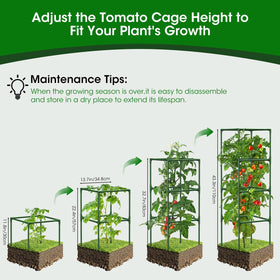 MQHUAYU tomato cage adjustable height adapts to plant growth.