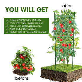 MQHUAYU cage measures 10.6 x 48 inches for reliable staking.