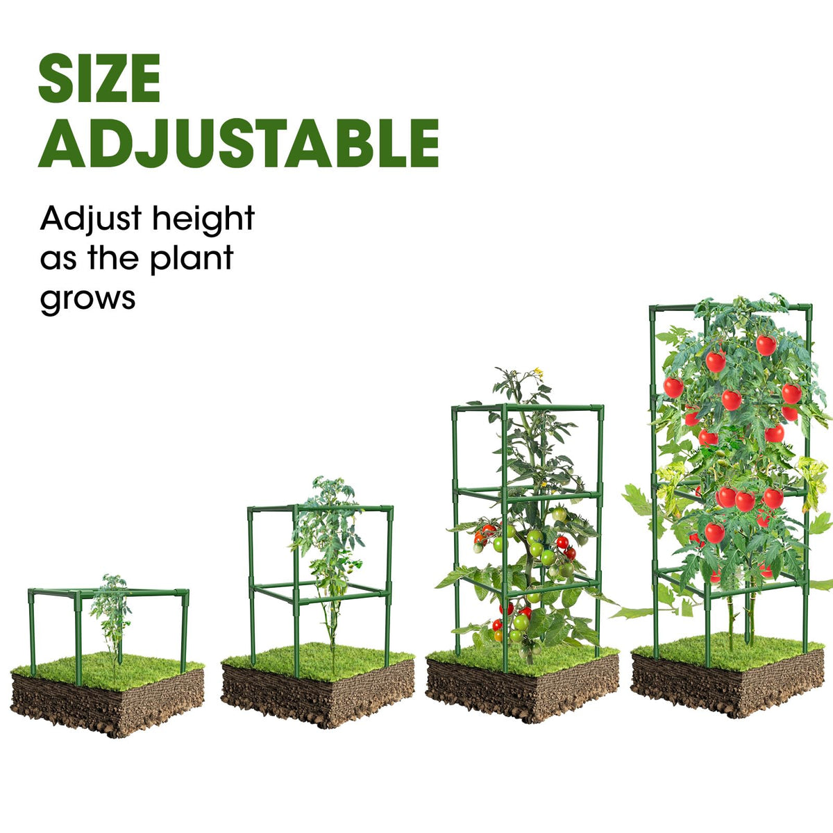 MQHUAYU tomato cage with rust-resistant steel wrap lasts in any season.