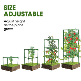 MQHUAYU tomato cage with rust-resistant steel wrap lasts in any season.