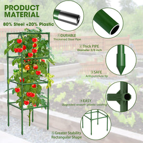 MQHUAYU spacious design maximizes sunlight for better fruiting.