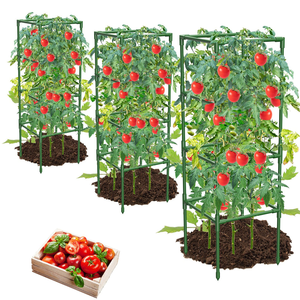 MQHUAYU square tomato cage supports climbing plants in home gardens.