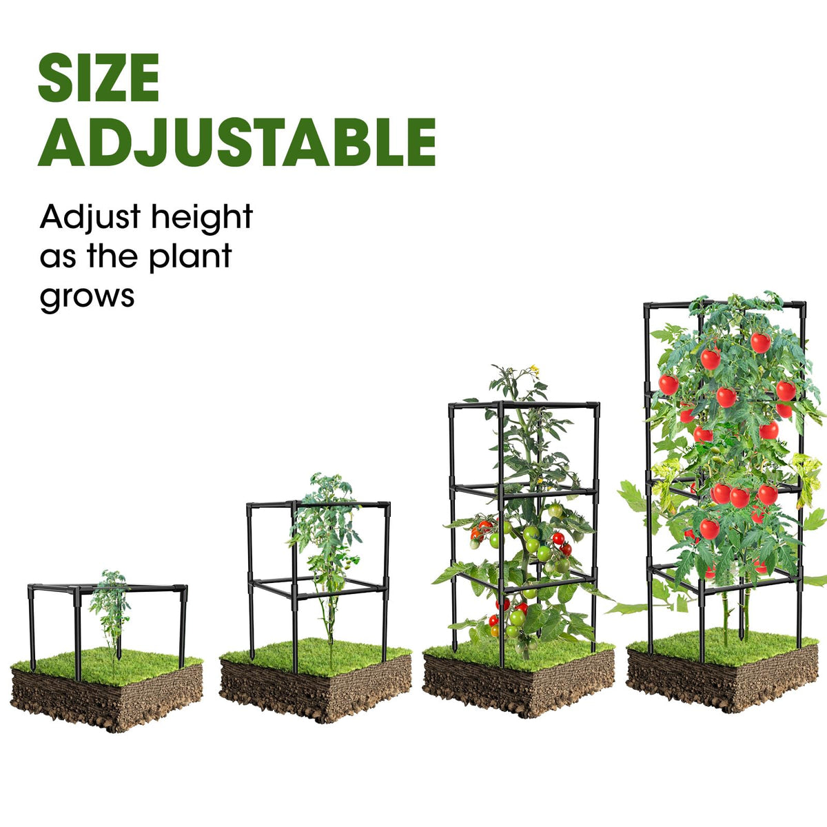 MQHUAYU tomato cage uses thick steel pipes for durability
