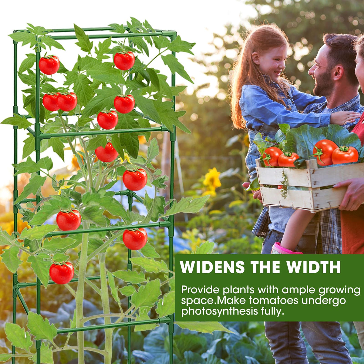 MQHUAYU three-pack cages provide steady garden support.