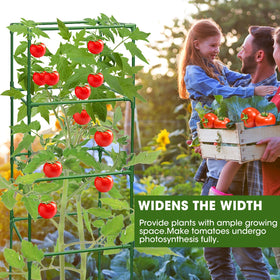 MQHUAYU three-pack cages provide steady garden support.