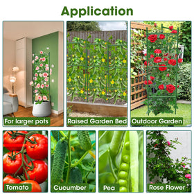 MQHUAYU versatile cage supports tomatoes, cucumbers, and other climbing plants.