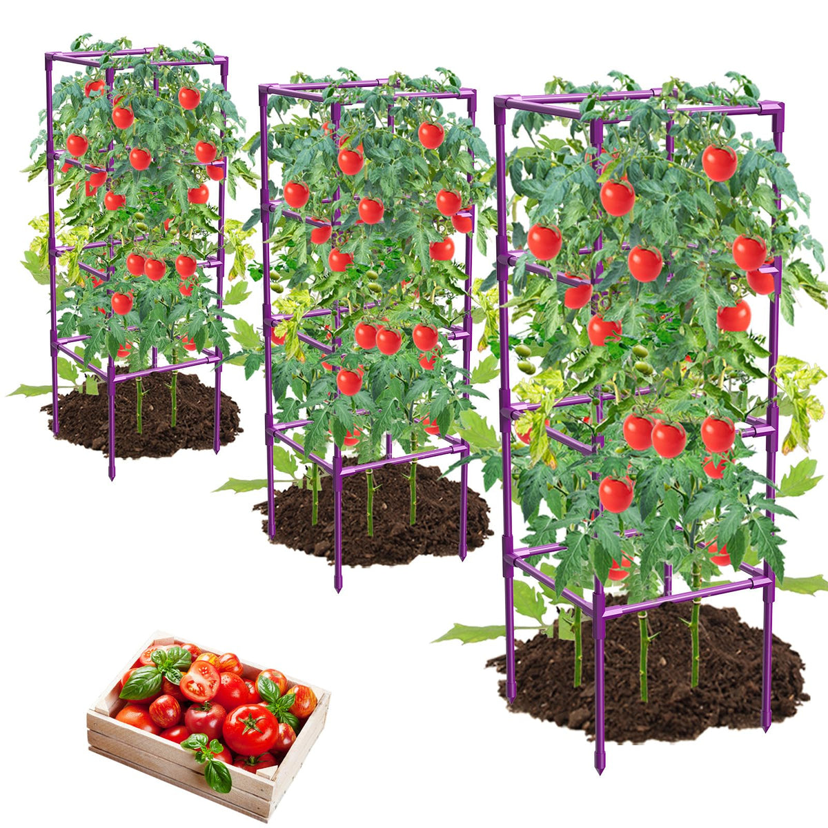 MQHUAYU tomato cage square frame purple for sturdy garden support