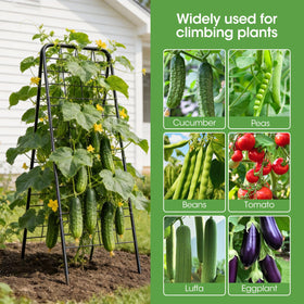 MQHUAYU trellis hinge and frame emphasize wind stability.