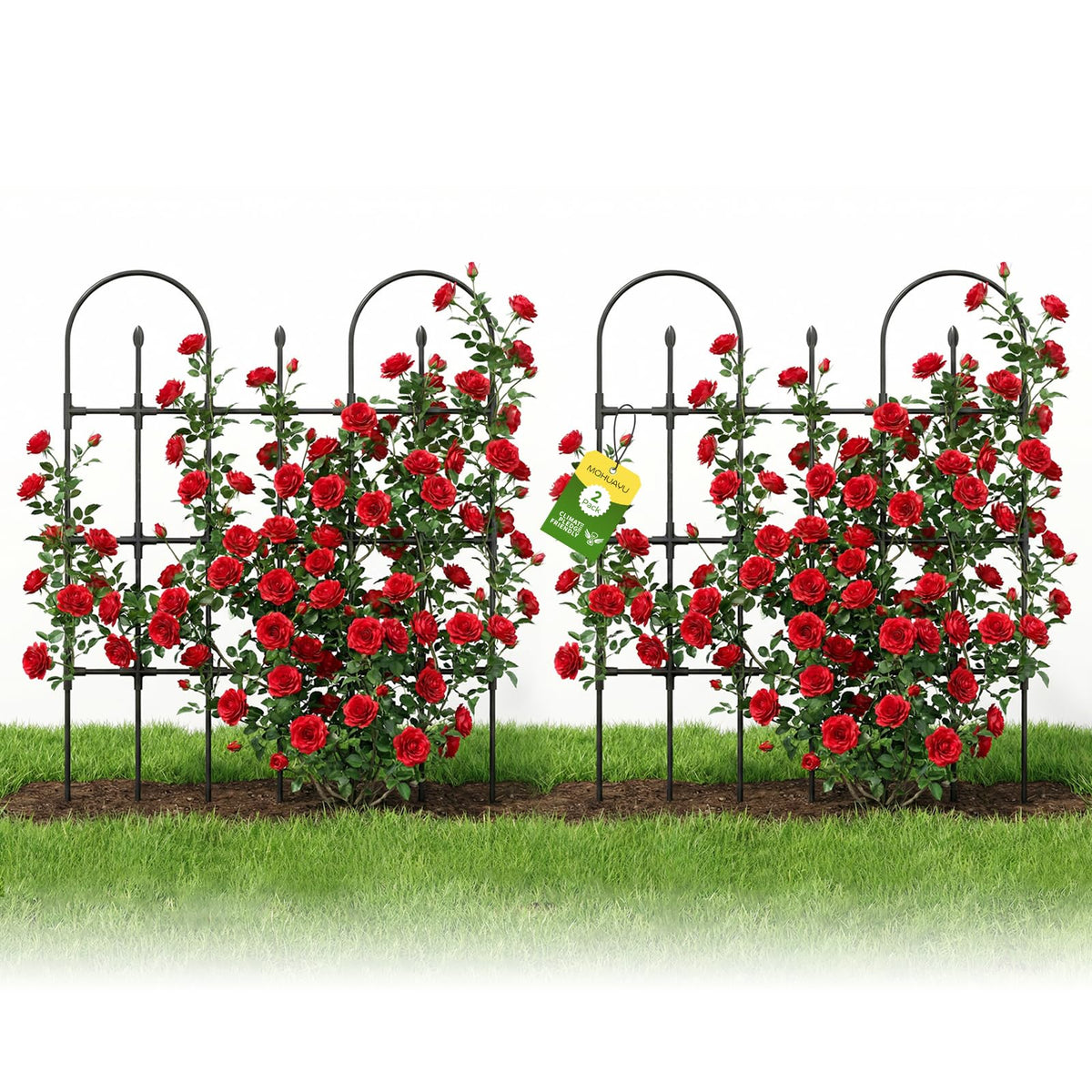 MQHUAYU two-pack garden trellis outdoors supports climbing plants and adds vertical interest