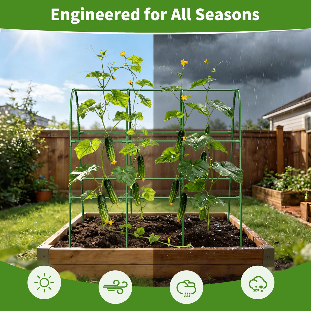 Versatile support for cucumbers, peas, beans, tomatoes, pumpkins, and melons