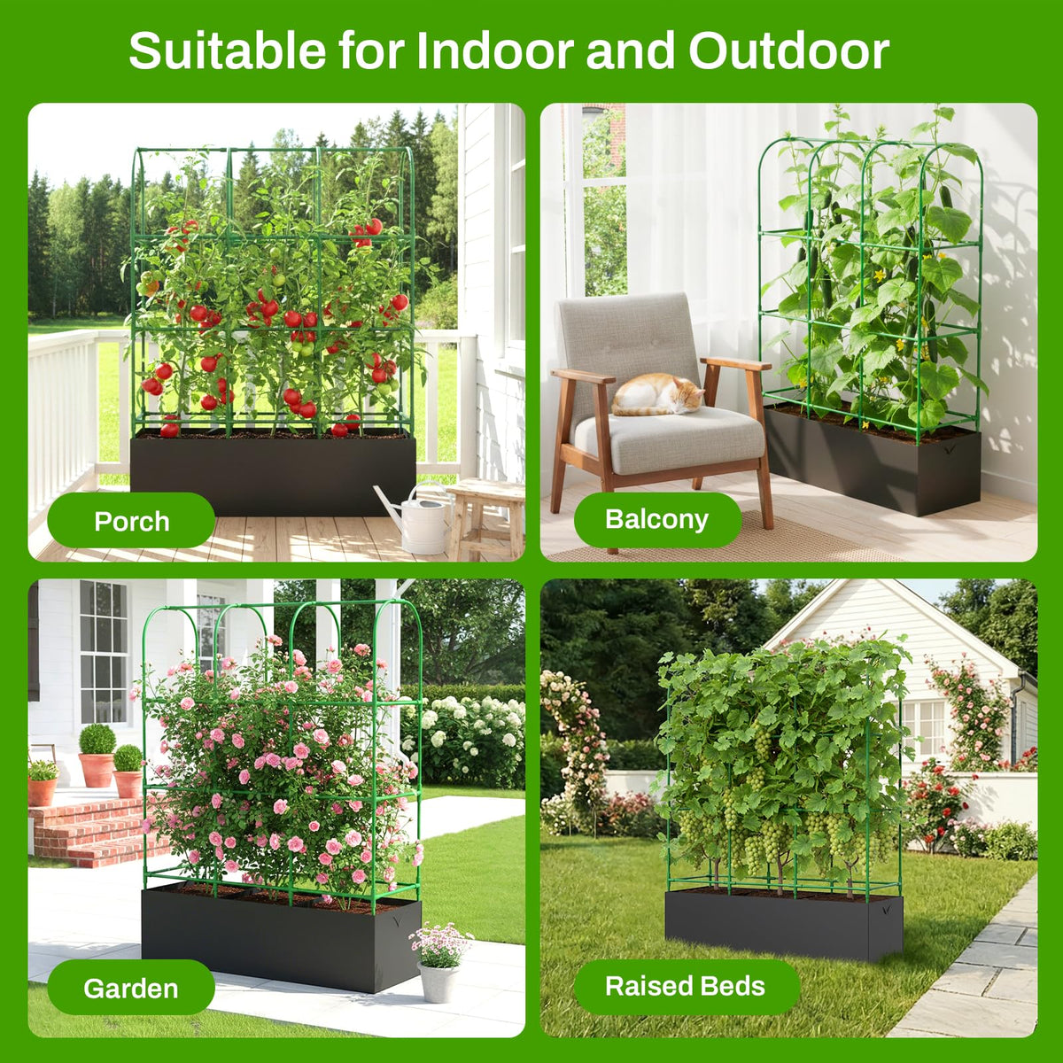 MQHUAYU vertical design saves ground space while keeping fruit clean and accessible