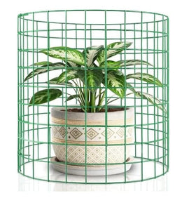 MQHUAYU weatherproof rustproof material keeps cages durable across seasons.