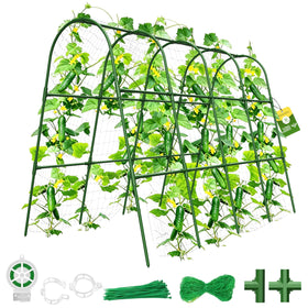 MQHUAYU cucumber trellis in raised bed with U-shape arch supports climbing plants