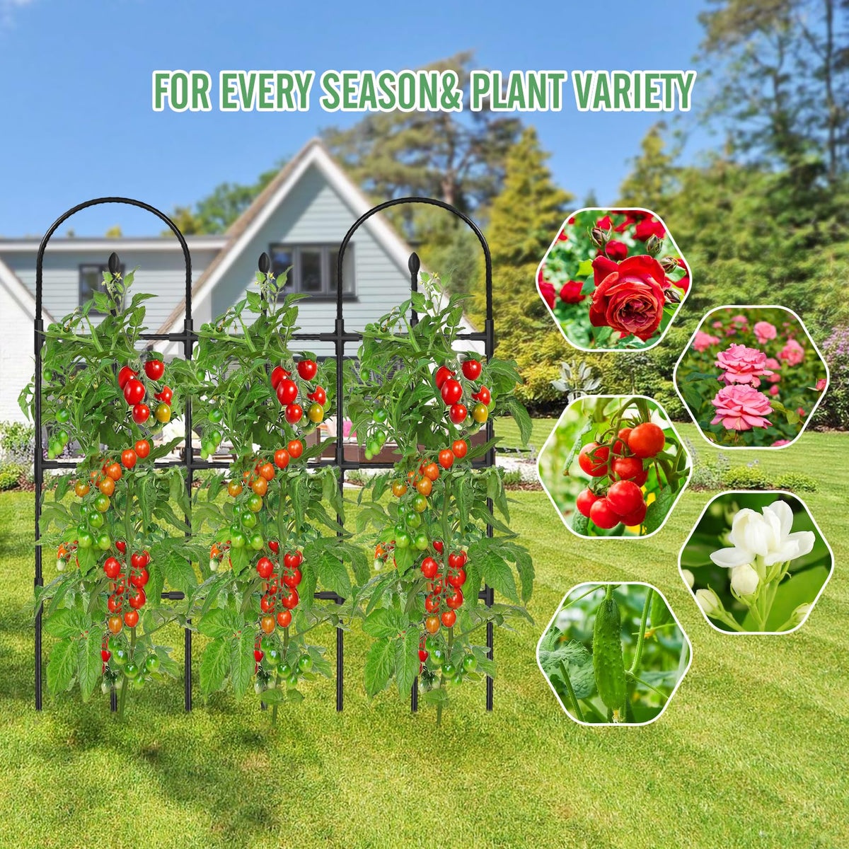MQHUAYU indoor-outdoor-use trellis adapts to pots and fences alike.