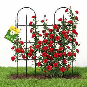MQHUAYU Trellis with upgraded anti-slip spikes supports stable climbing for vines.