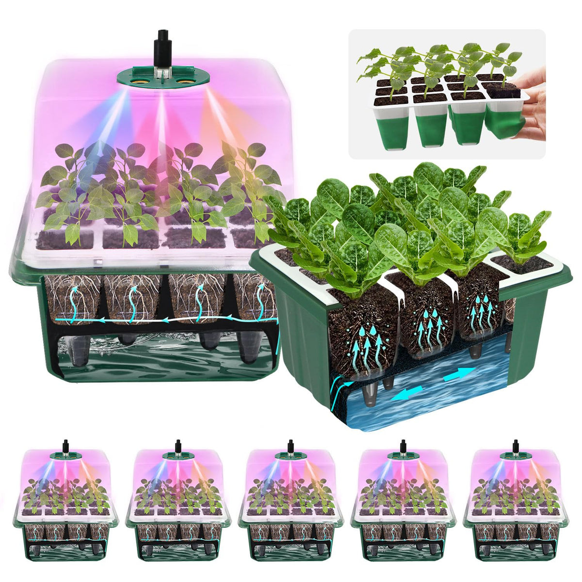 MQJIAZHI 5-pack 60-cell seed starter tray for easy indoor germination and self-watering convenience.