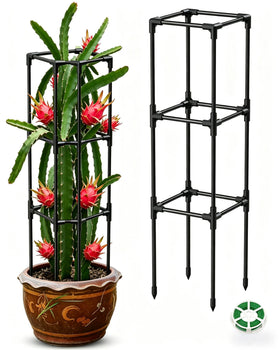 MQJIAZHI dragon fruit trellis vertical support for upright growth.