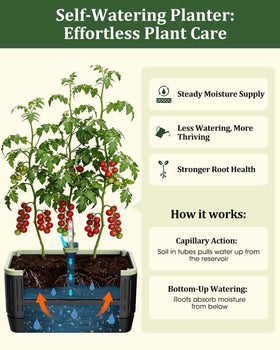 MQJIAZHI heavy-duty anti-tip design supports full tomato vines outdoors.