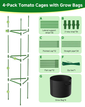 MQJIAZHI trellis system keeps fruits off soil for cleaner harvests