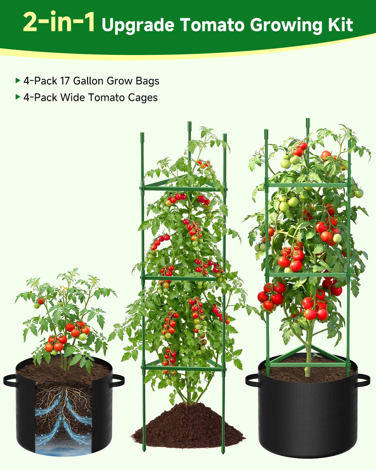 MQJIAZHI rust-proof steel coating on cages ensures long-lasting garden performance