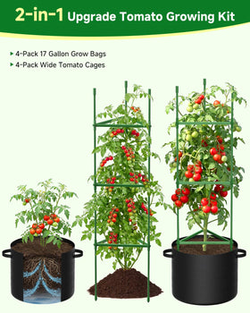 MQJIAZHI rust-proof steel coating on cages ensures long-lasting garden performance
