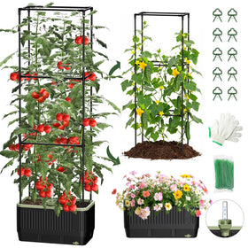 MQJIAZHI self-watering planter with trellis front view for higher yields.
