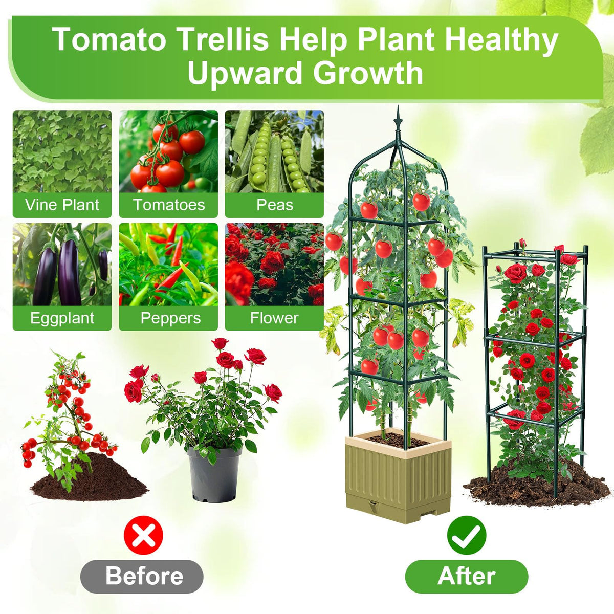 MQJIAZHI steel-core trellis with protective coating supports vines