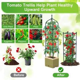 MQJIAZHI steel-core trellis with protective coating supports vines