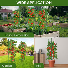 MQJIAZHI tomato cage quick tool-free assembly for easy setup