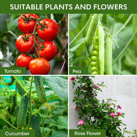 MQJIAZHI tomato cage suitable for indoor and outdoor gardening
