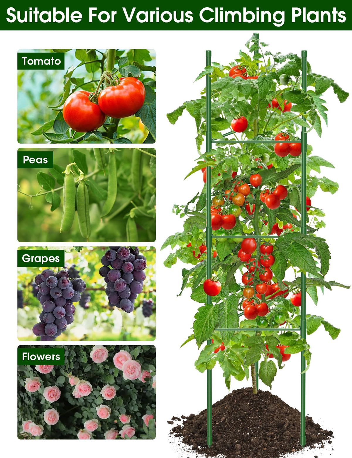 MQJIAZHI supports various climbers like cucumbers, beans, and roses for vertical gardening.