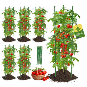 MQJIAZHI triangular-base tomato cage provides stable support in windy conditions.