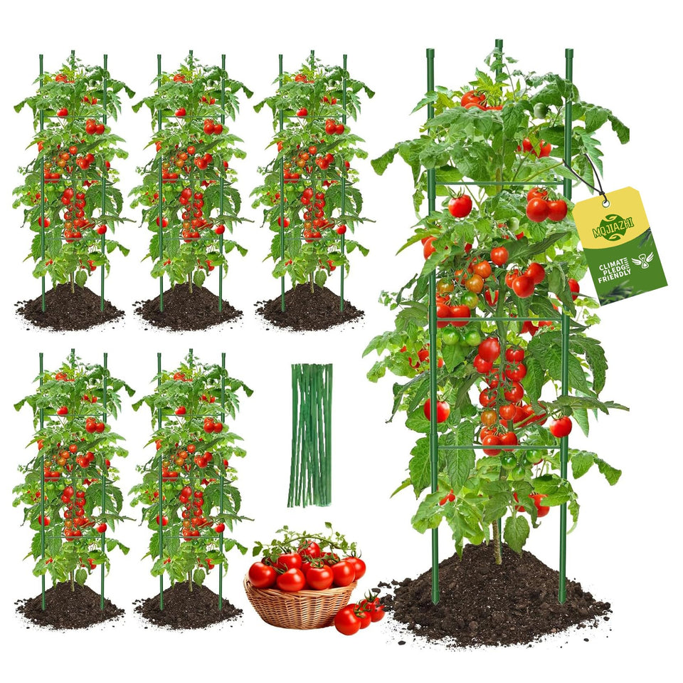 MQJIAZHI triangular-base tomato cage provides stable support in windy conditions.