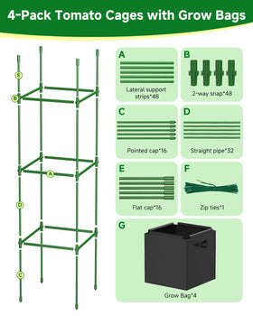 MQJIAZHI wide growing space reduces crowding for healthier vines.