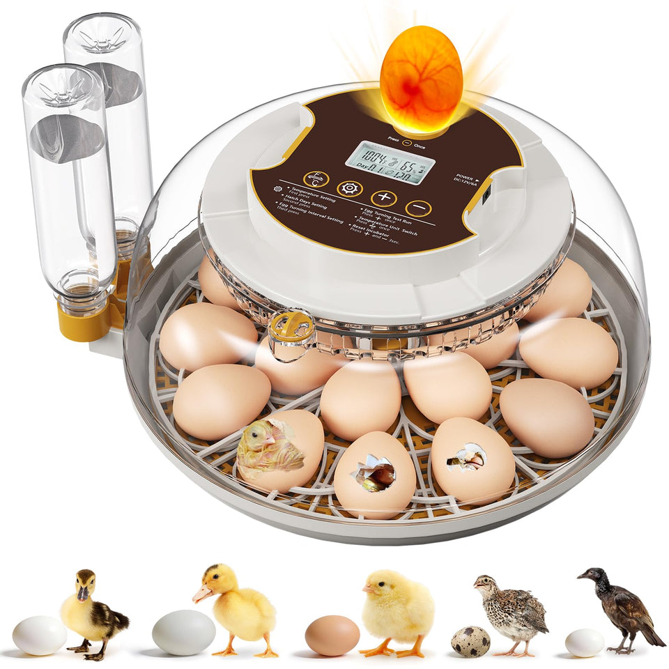 MQUPIN 18-egg incubator with 360° view for real-time monitoring.