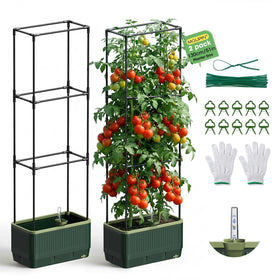 MQUPIN 2Pack raised garden bed with trellis for outdoors