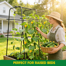MQUPIN 47x47 climbing area offers ample space for vines.