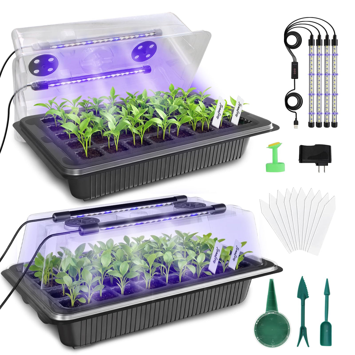 MQUPIN 80-cell seed starter tray with grow lights supports healthy indoor seedlings.